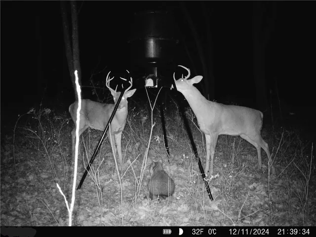 $795,000 | 6998 Lyman Road, Mound City, KS 66056