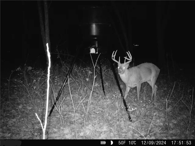 $795,000 | 6998 Lyman Road, Mound City, KS 66056