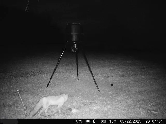 $795,000 | 6998 Lyman Road, Mound City, KS 66056