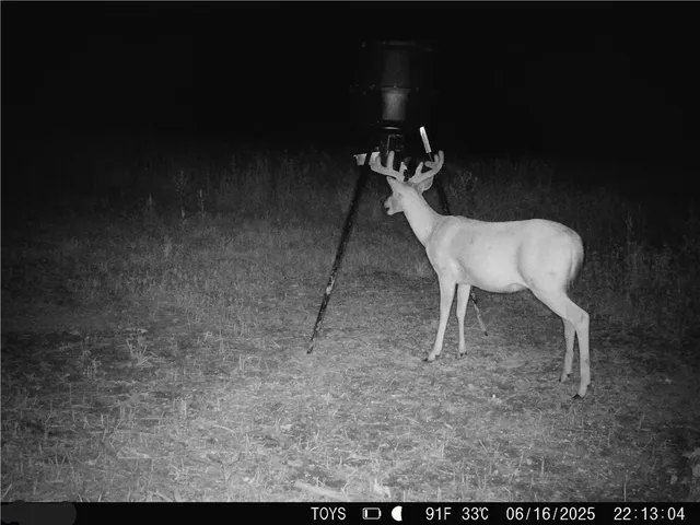 $795,000 | 6998 Lyman Road, Mound City, KS 66056