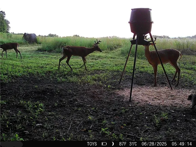 $795,000 | 6998 Lyman Road, Mound City, KS 66056