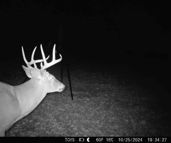 $795,000 | 6998 Lyman Road, Mound City, KS 66056