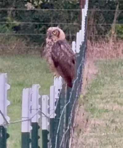 $795,000 | 6998 Lyman Road, Mound City, KS 66056