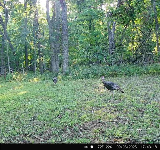 $795,000 | 6998 Lyman Road, Mound City, KS 66056