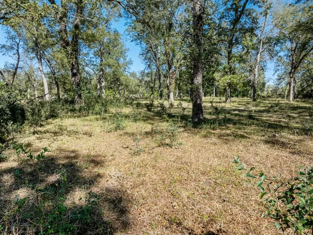 a view of outdoor space with trees