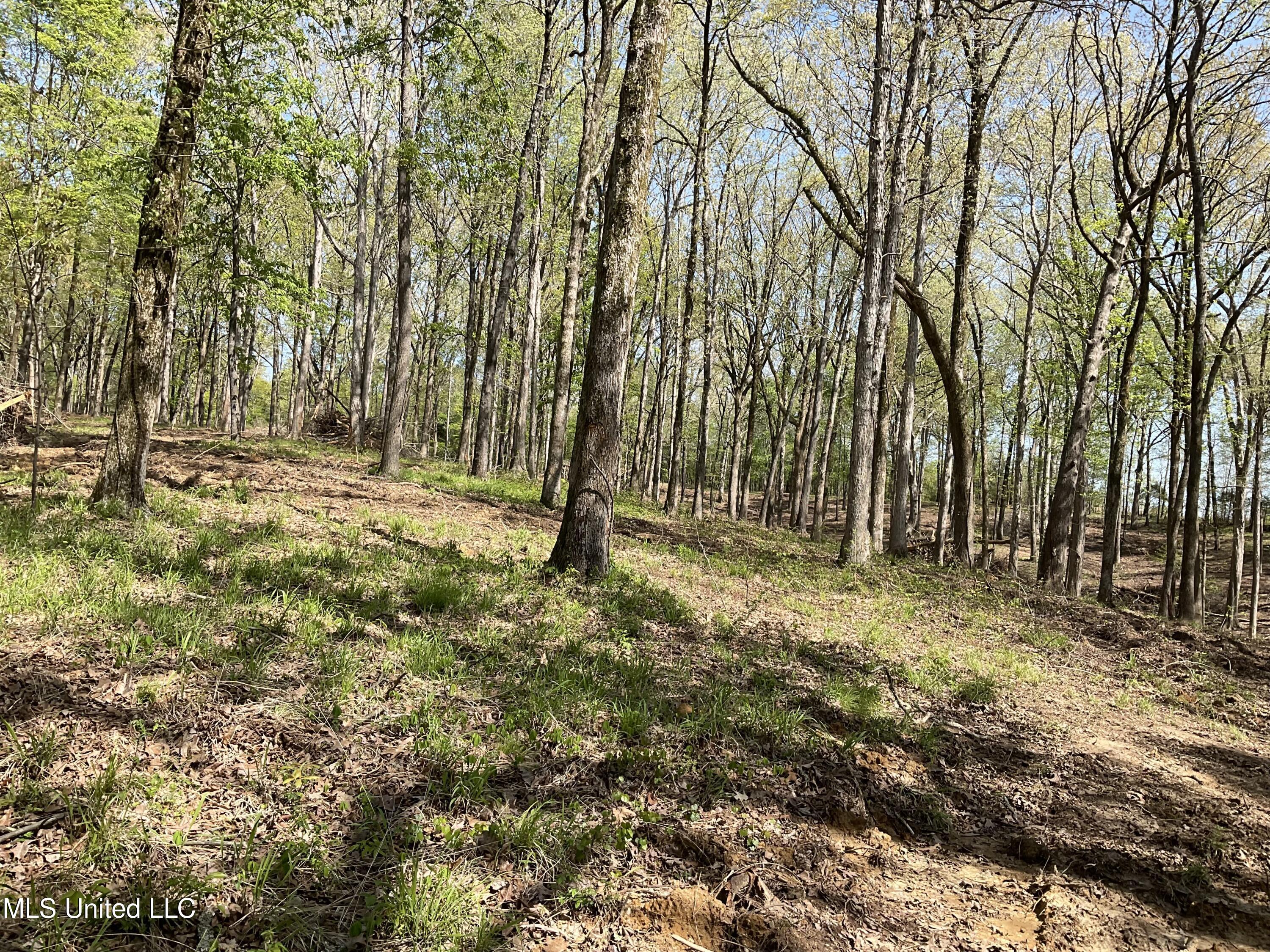 John Price Rd Road Senatobia, MS 38668 - Photo 1 of 3 IMG_0316