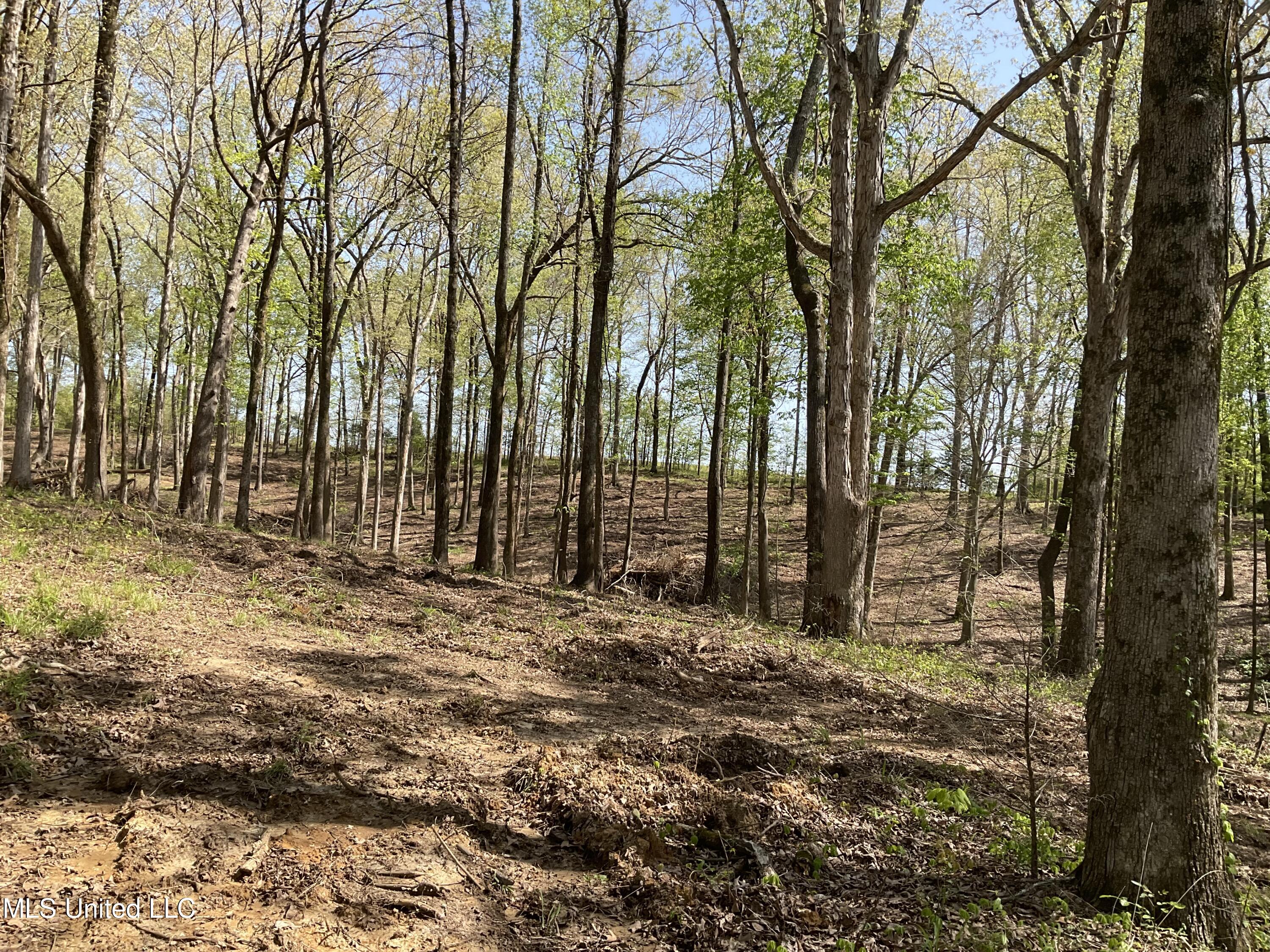 John Price Rd Road Senatobia, MS 38668 - Photo 2 of 3 IMG_0317