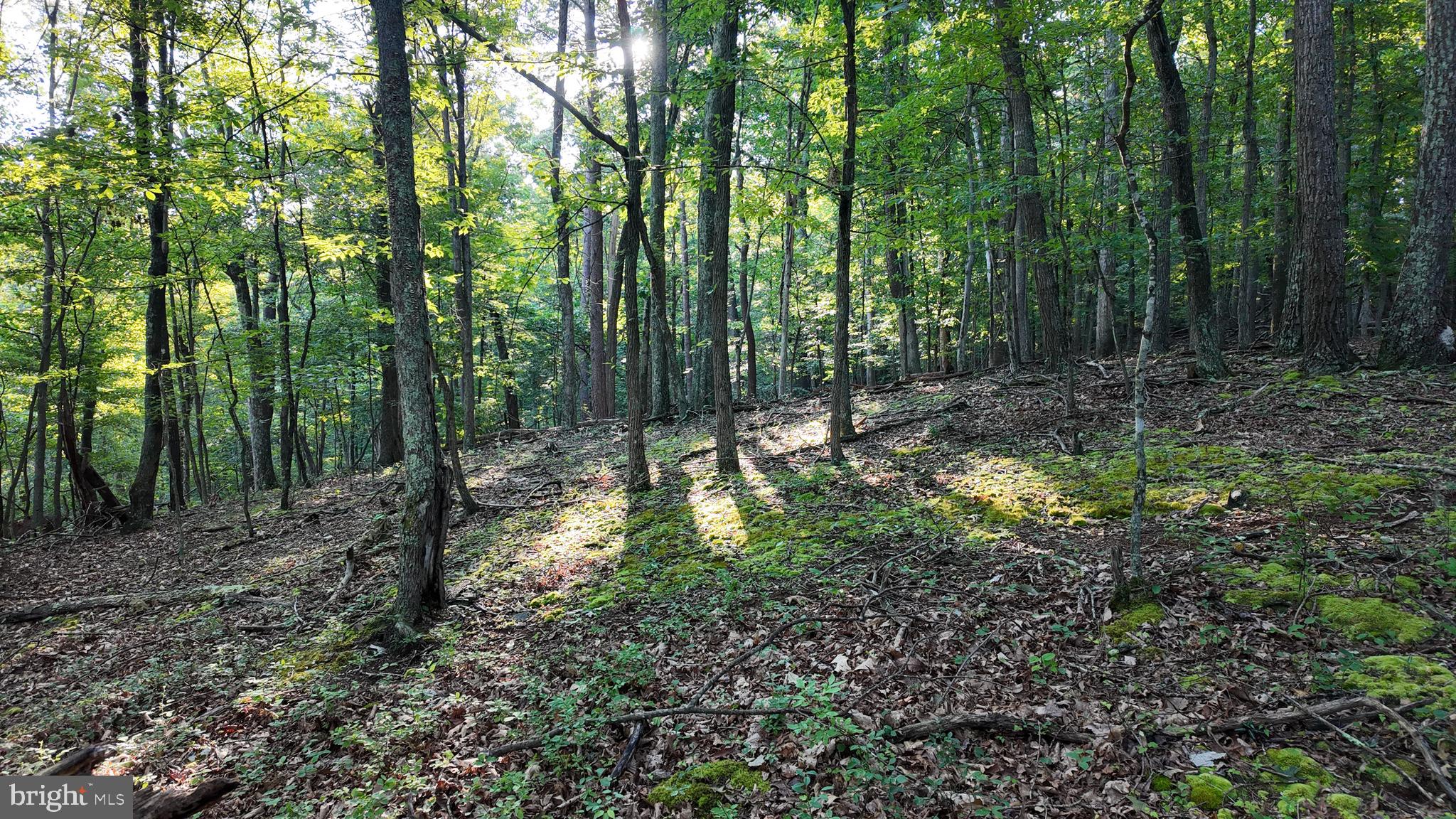 Racey Road Augusta, WV 26704 - Photo 2 of 32 Gallery Image 2