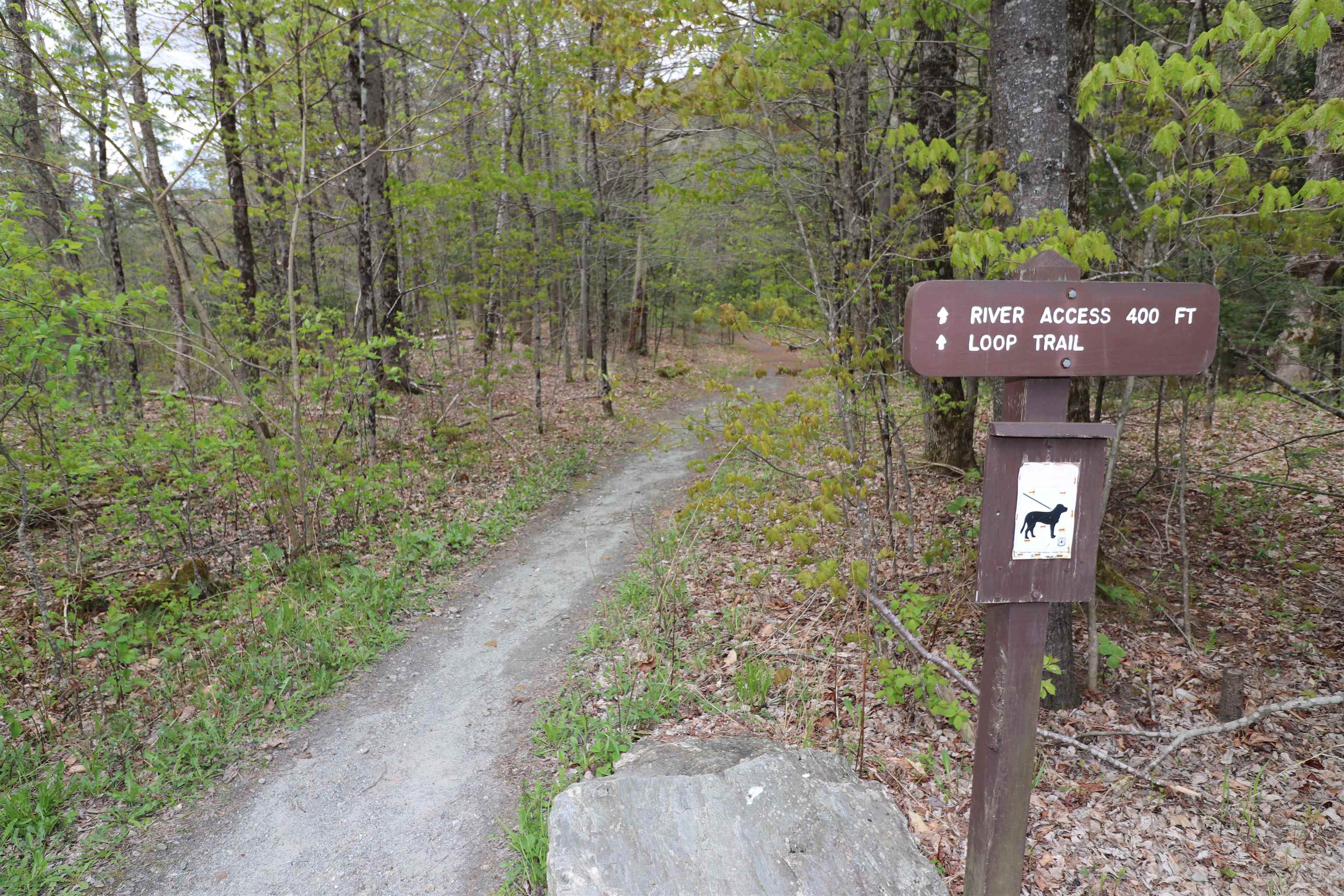 3955 Vermont Rte 100 Warren, VT 05674 - Photo 56 of 59