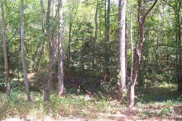 1187 Brockman McClimon Road Greer, SC 29651 - Photo 18 of 18 Gallery Image 18