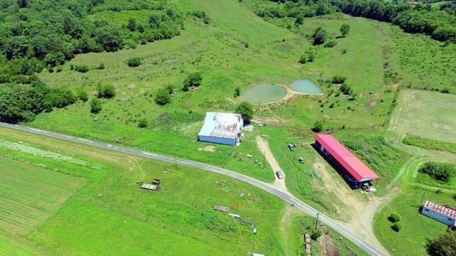 127 Dean Hill Road Pleasant Shade, TN 37145 - Photo 3 of 20