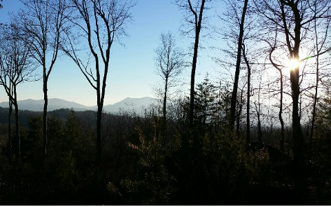 5 Flagpole Road Ellijay, GA 30540 - Photo 1 of 1 Main View