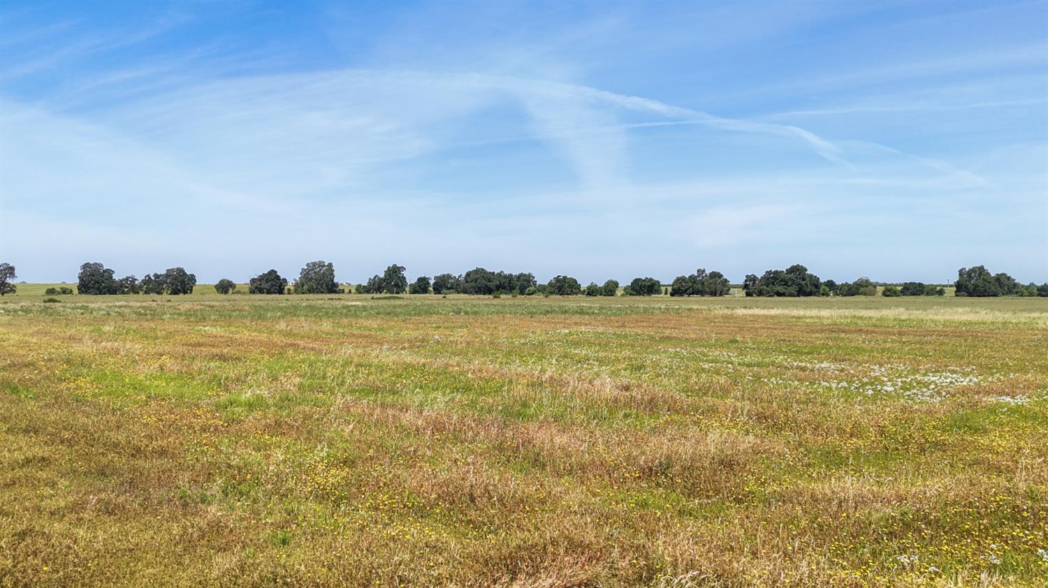 10310 Clay Station Road Wilton, CA 95693 - Photo 14 of 38 a view of a ocean with outside a house
