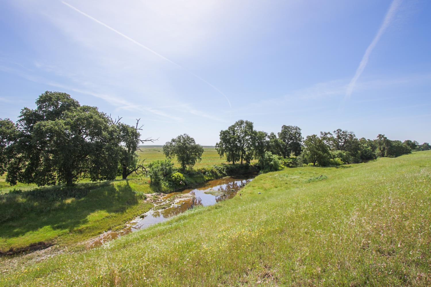 10310 Clay Station Road Wilton, CA 95693 - Photo 26 of 38 a view of a field with an trees