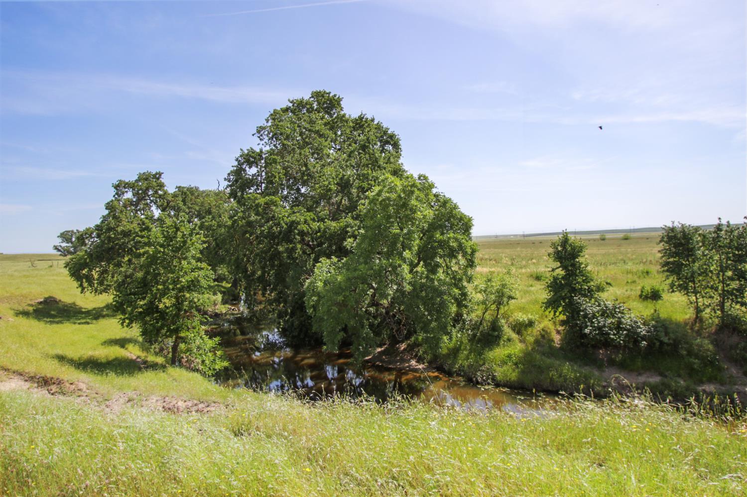 10310 Clay Station Road Wilton, CA 95693 - Photo 27 of 38 a view of a yard with a tree
