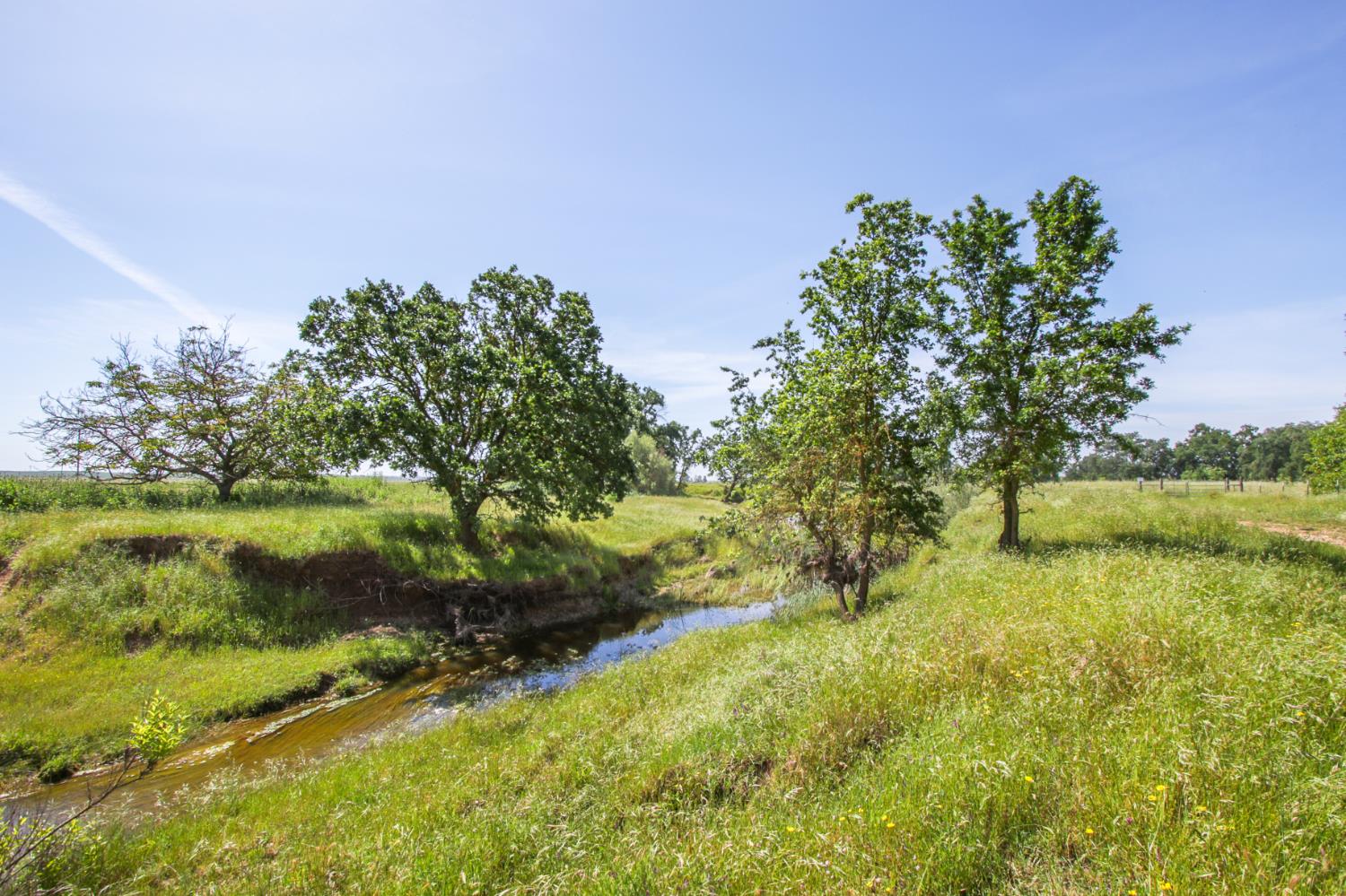 10310 Clay Station Road Wilton, CA 95693 - Photo 29 of 38 a backyard of a house with lots of green space and lake view