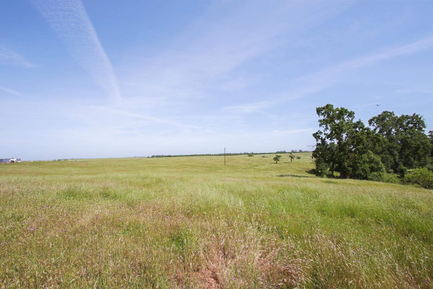 10310 Clay Station Road Wilton, CA 95693 - Photo 31 of 38 a view of an ocean and beach