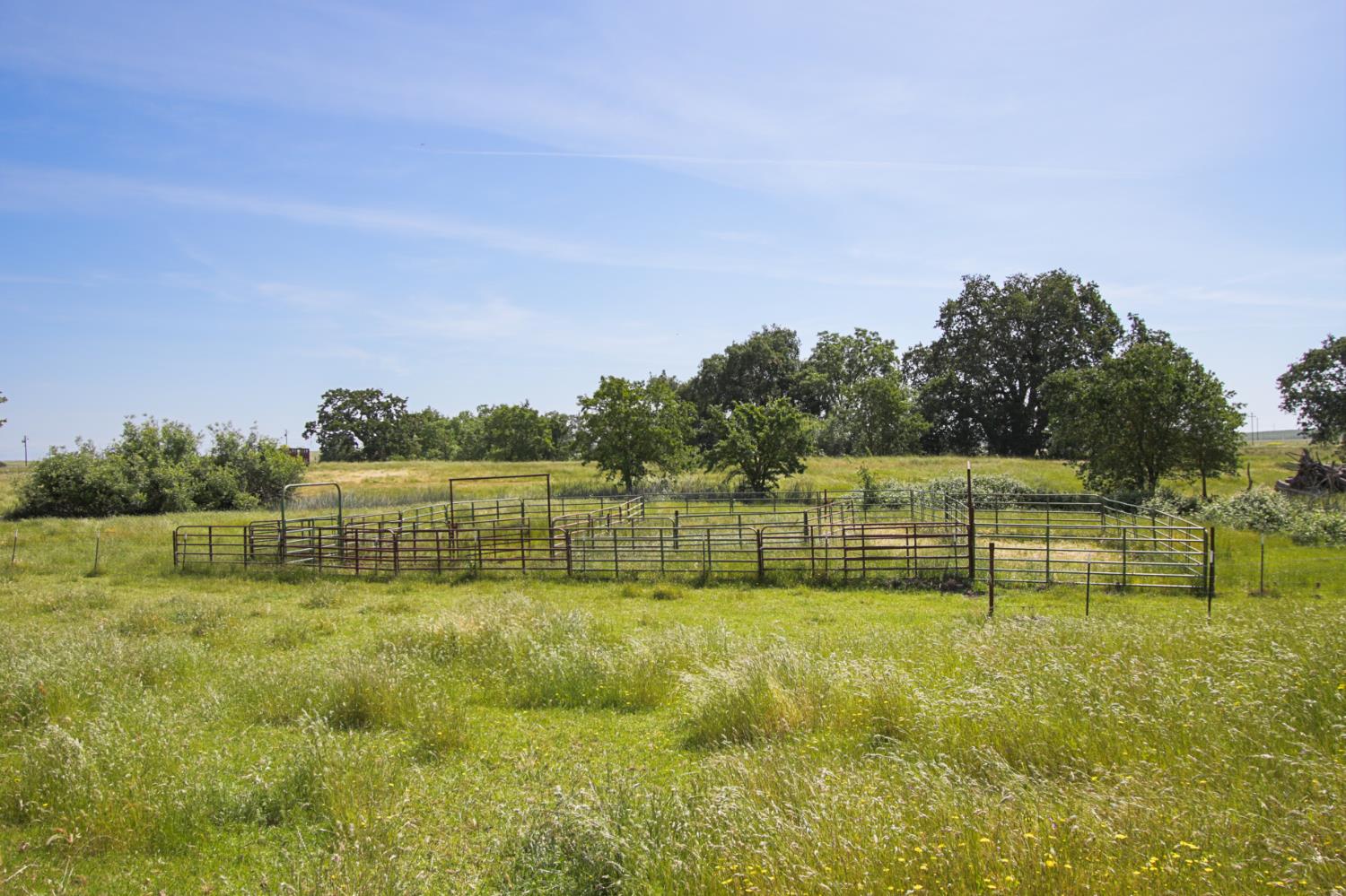 10310 Clay Station Road Wilton, CA 95693 - Photo 33 of 38 a garden with trees