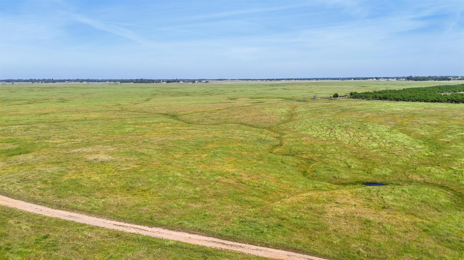 10310 Clay Station Road Wilton, CA 95693 - Photo 6 of 38 a view of an ocean