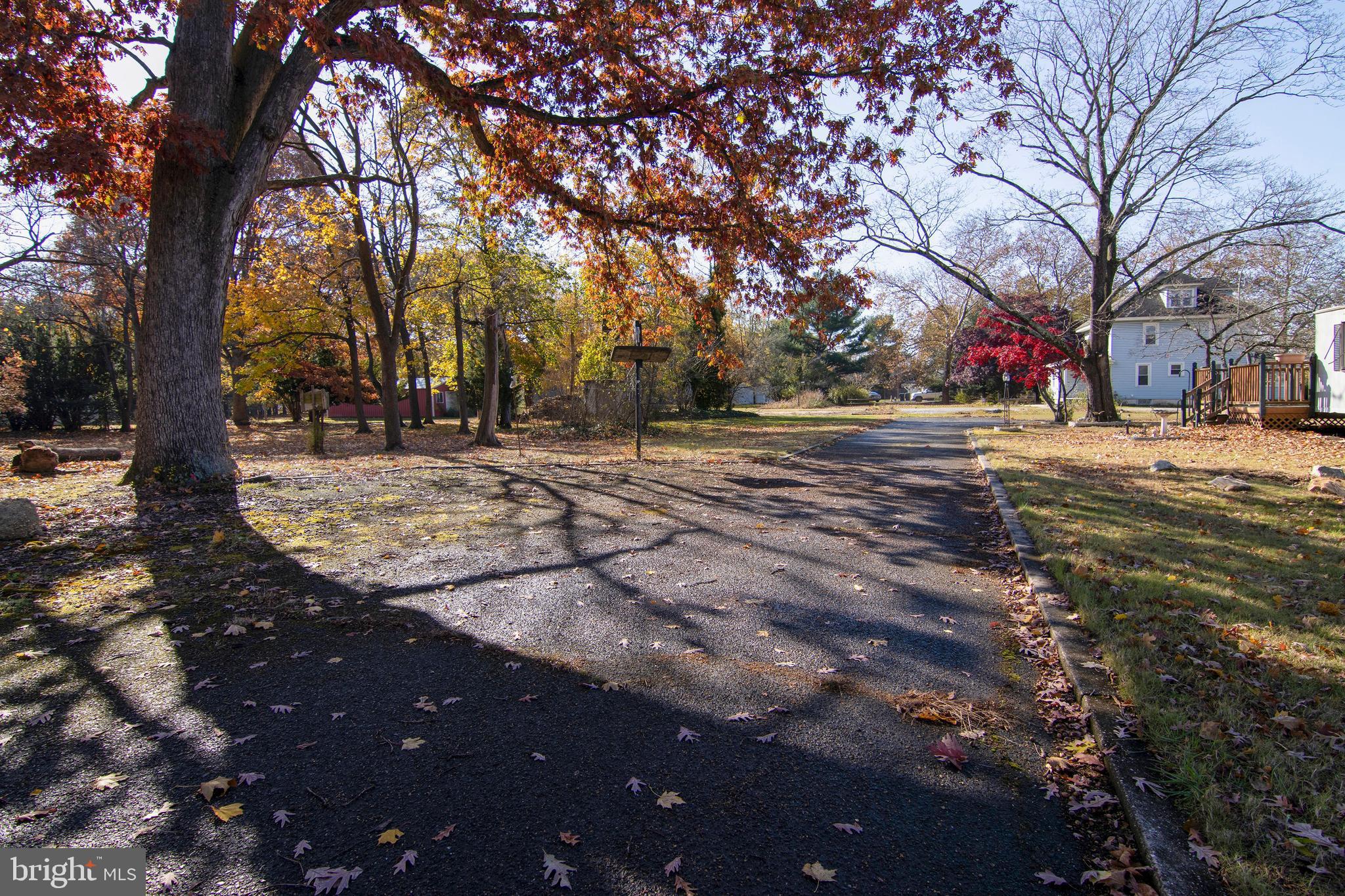 542 Williamstown Road Sicklerville, NJ 08081 - Photo 33 of 38 a view of a yard with a tree