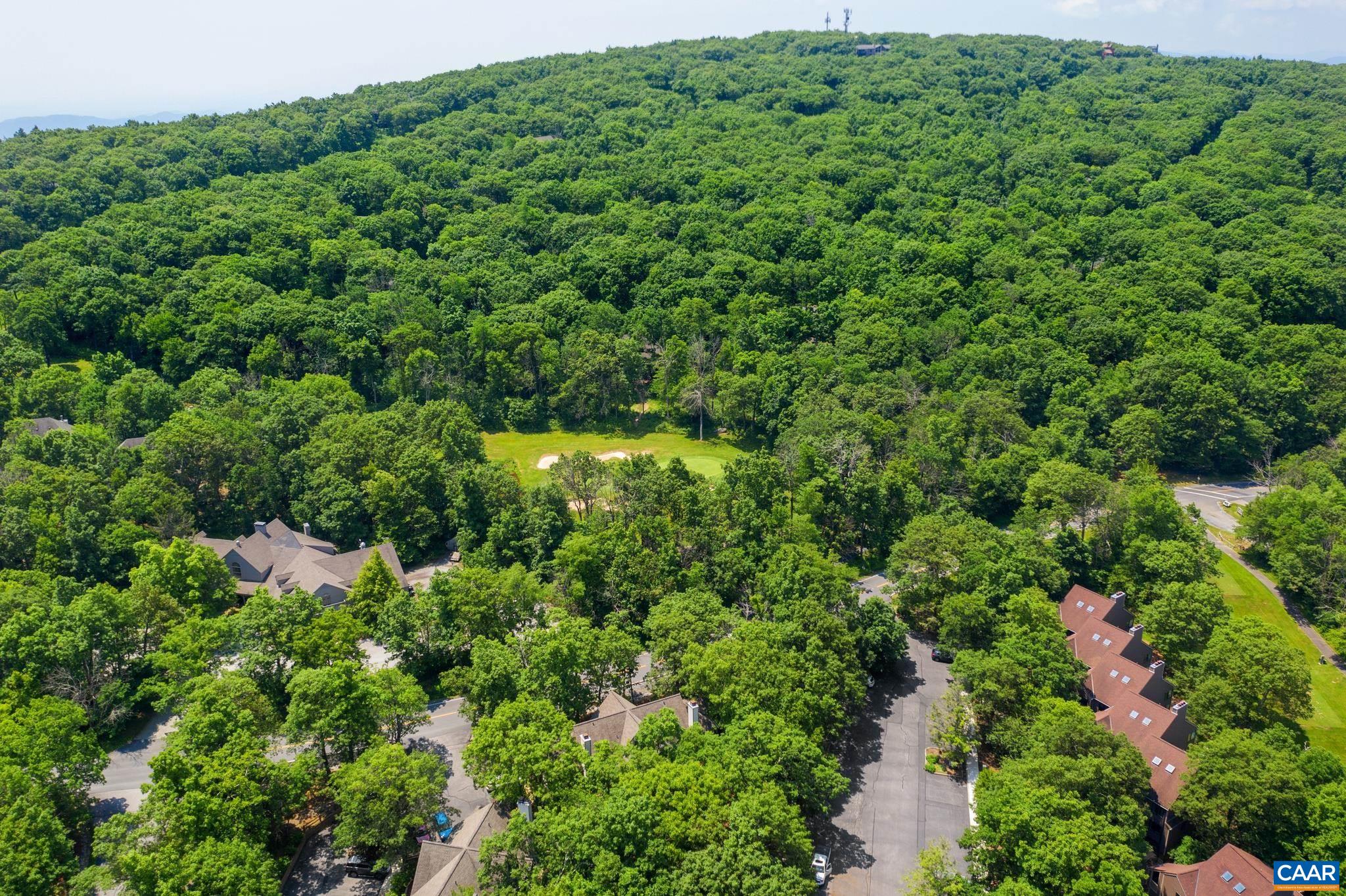 2003 Stone Rdg Wds Roseland, VA 22967 - Photo 27 of 29 a view of a lush green forest
