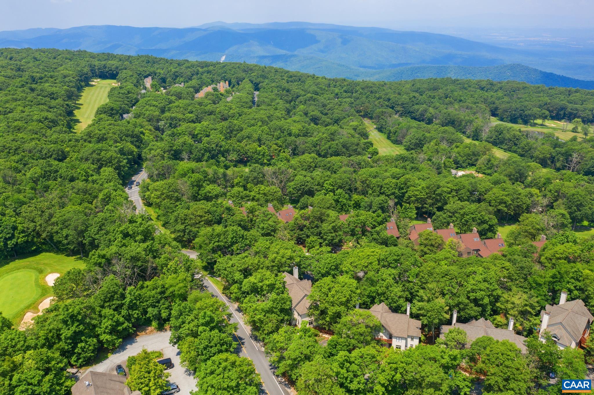 2003 Stone Rdg Wds Roseland, VA 22967 - Photo 28 of 29 a view of a lush green outdoor space and city view