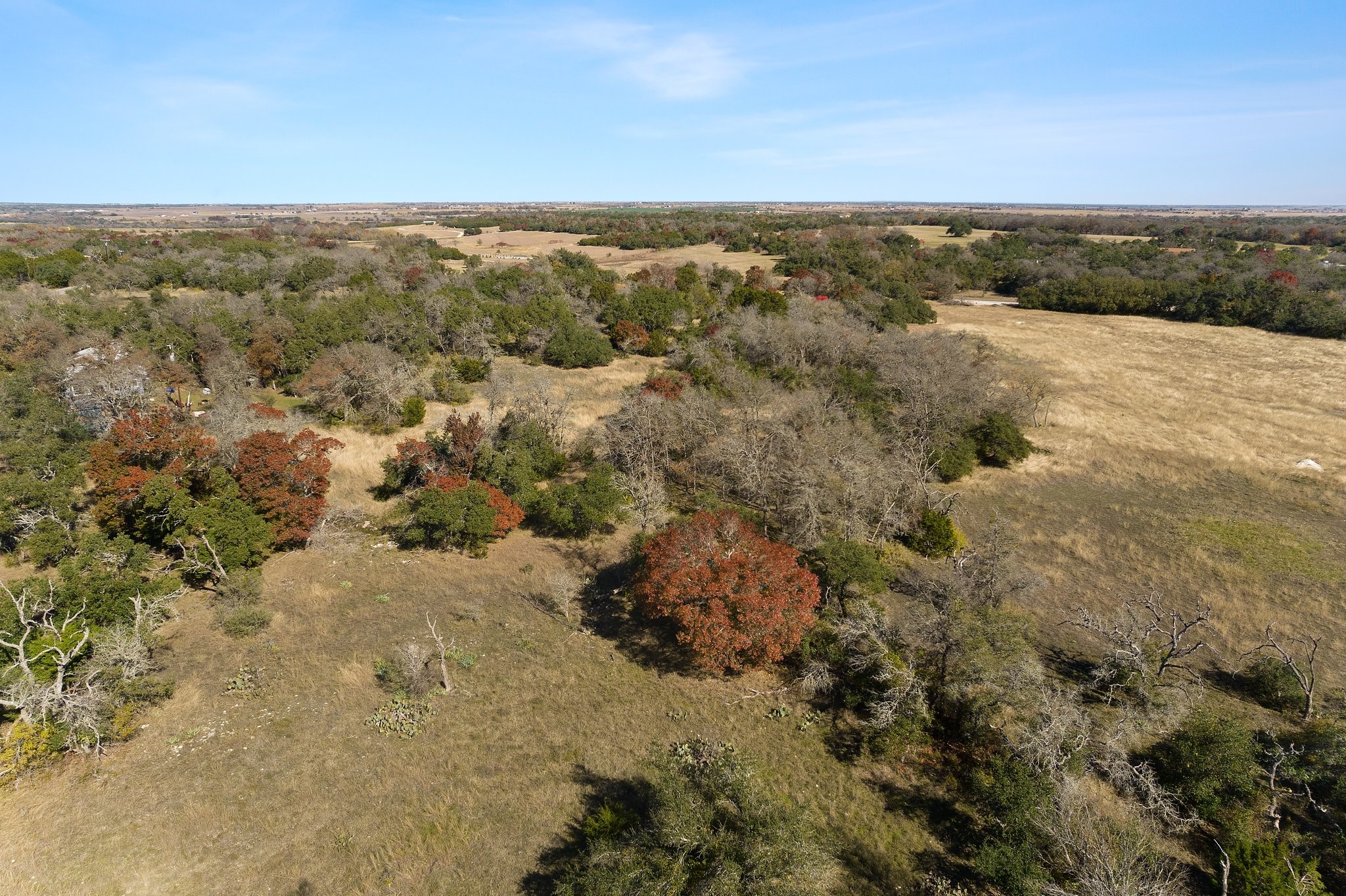 101 County Road 156 Georgetown, TX 78626 - Photo 9 of 11