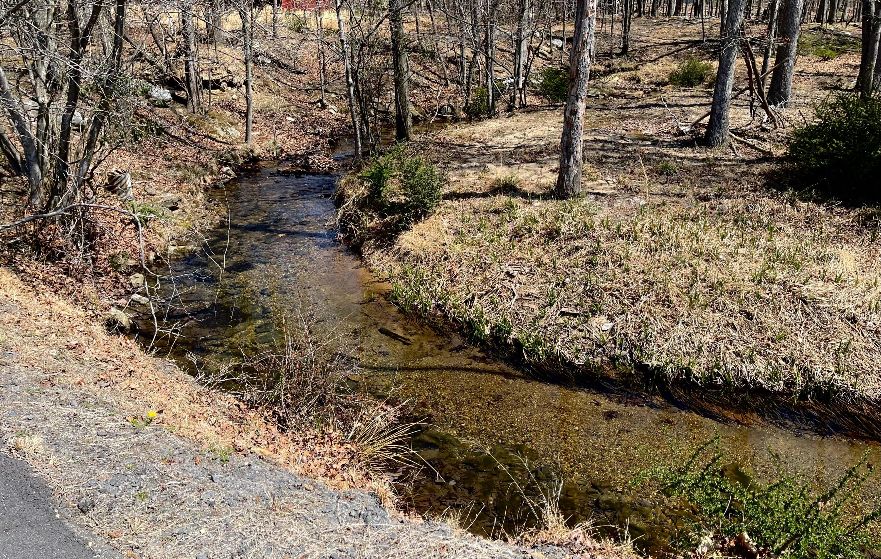 8 Kickapoo Drive Hazleton, PA 18202 - Photo 106 of 121 Stream at The Beach