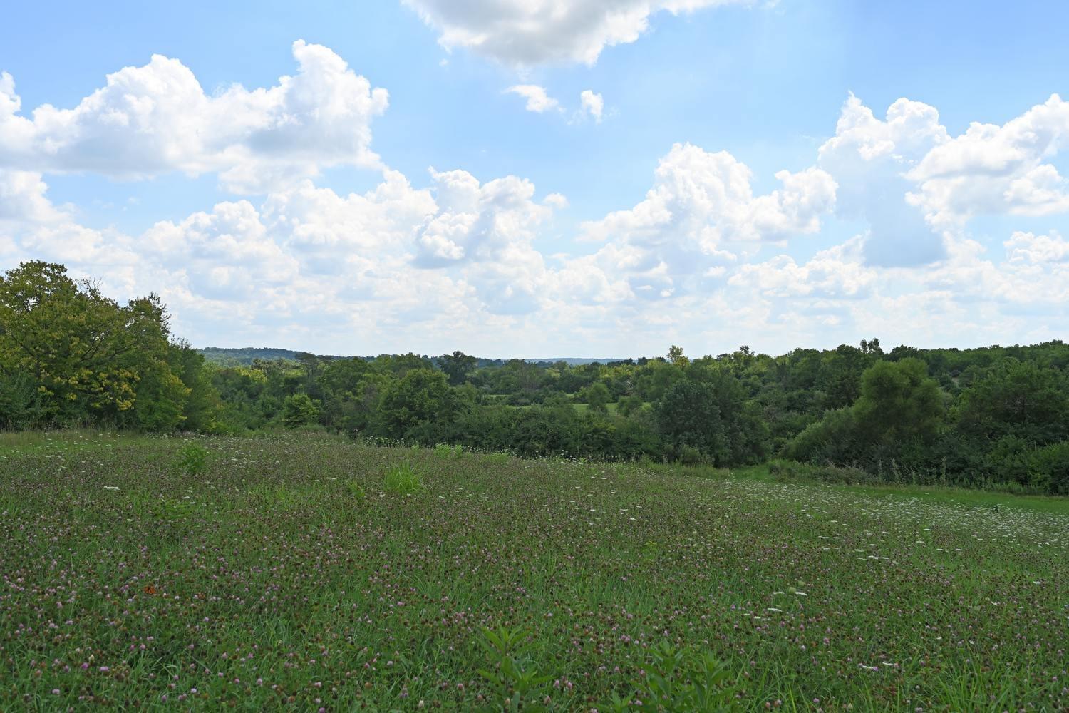 21.229-ac 21.229-ac Waynes Trace Road Hamilton, OH 45011 - Photo 4 of 23