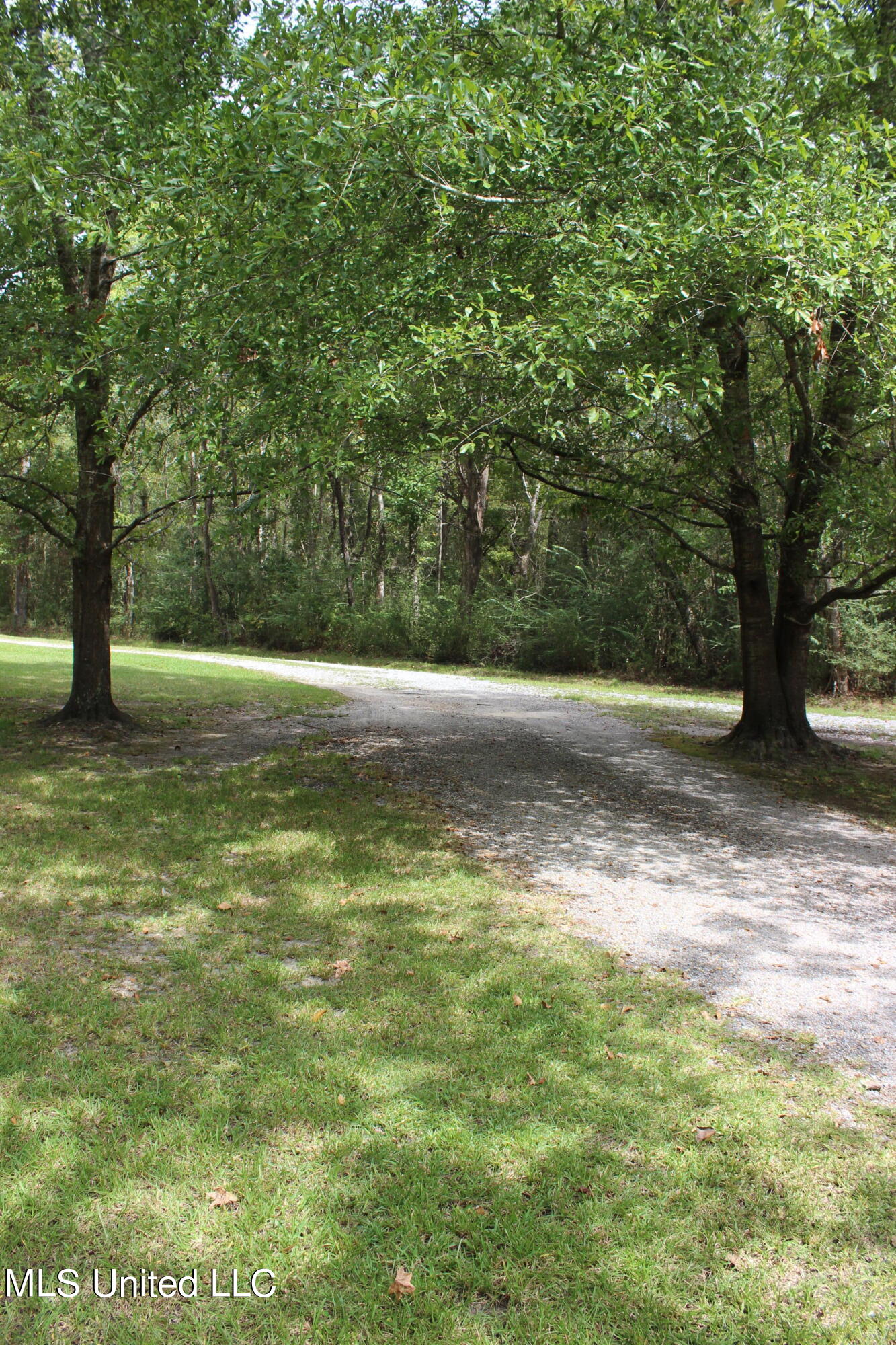 3534 Charlie Hudson Road Moss Point, MS 39562 - Photo 63 of 64 IMG_0129