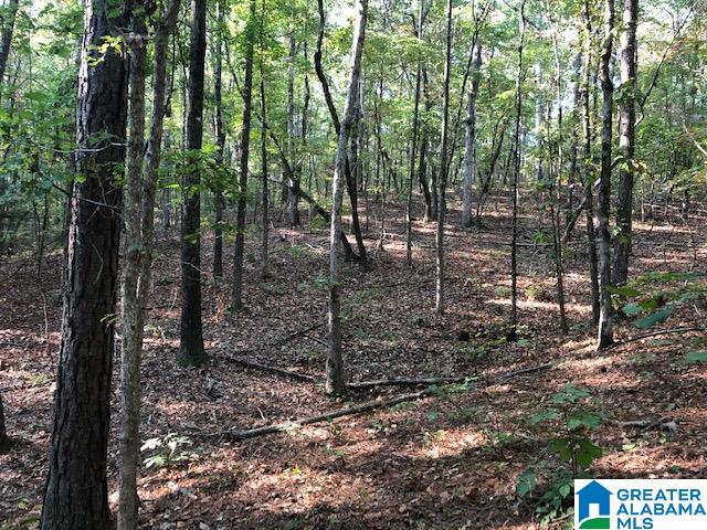 900 Holloway Road, Unit 58 AC Camp Hill, AL 36850 - Photo 5 of 6
