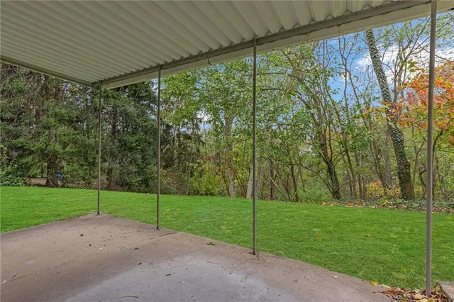 a view of a yard with palm trees