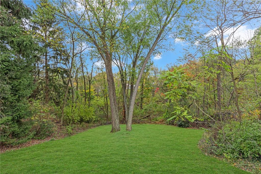142 Wickham Drive Monaca, PA 15061 - Photo 21 of 26 a view of a lush green forest