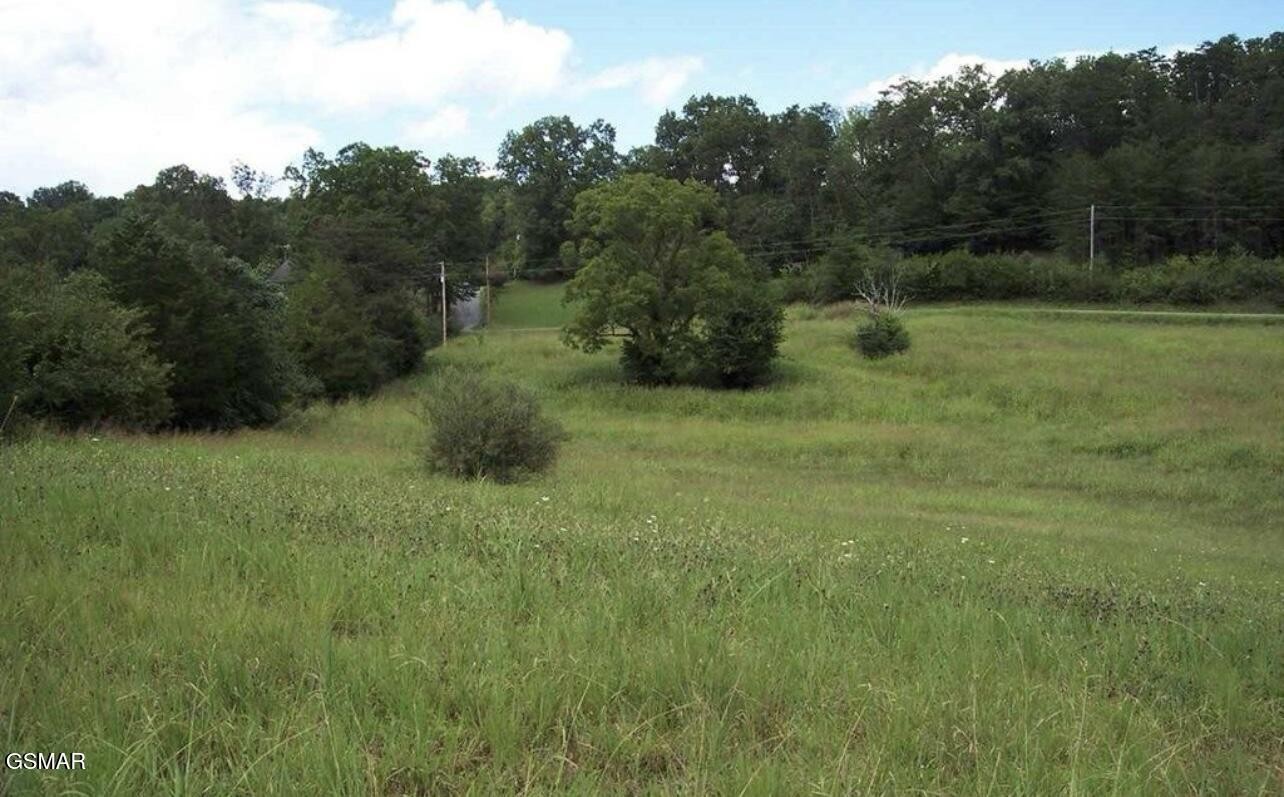 2431 Tranquility Ridge Drive Newport, TN 37821 - Photo 4 of 6 Gallery Image 4