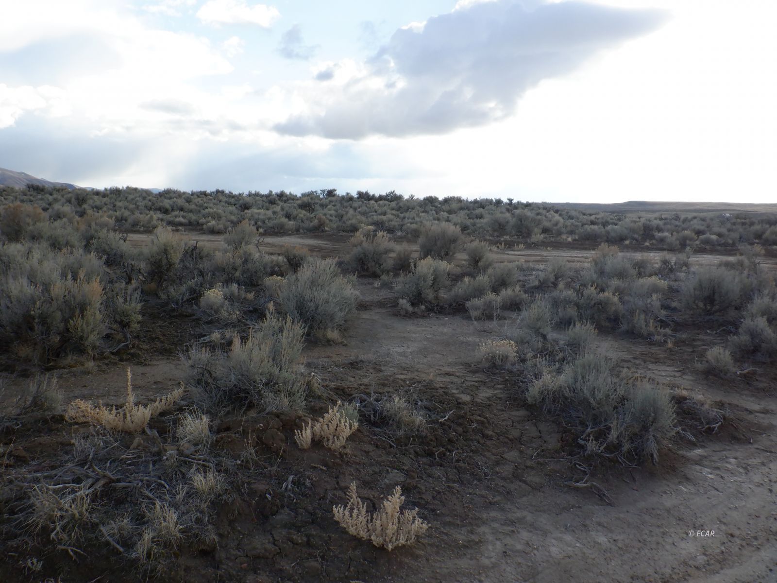 33-3 7th Street Elko, NV 89801 - Photo 7 of 15