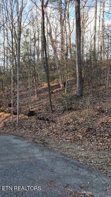 229 Sonshine Ridge Road Cosby, TN 37722 - Photo 20 of 22 20251228_152338(16)