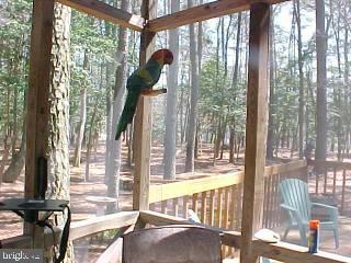 84 Battersea Road Ocean Pines, MD 21811 - Photo 5 of 7 Gallery Image 5