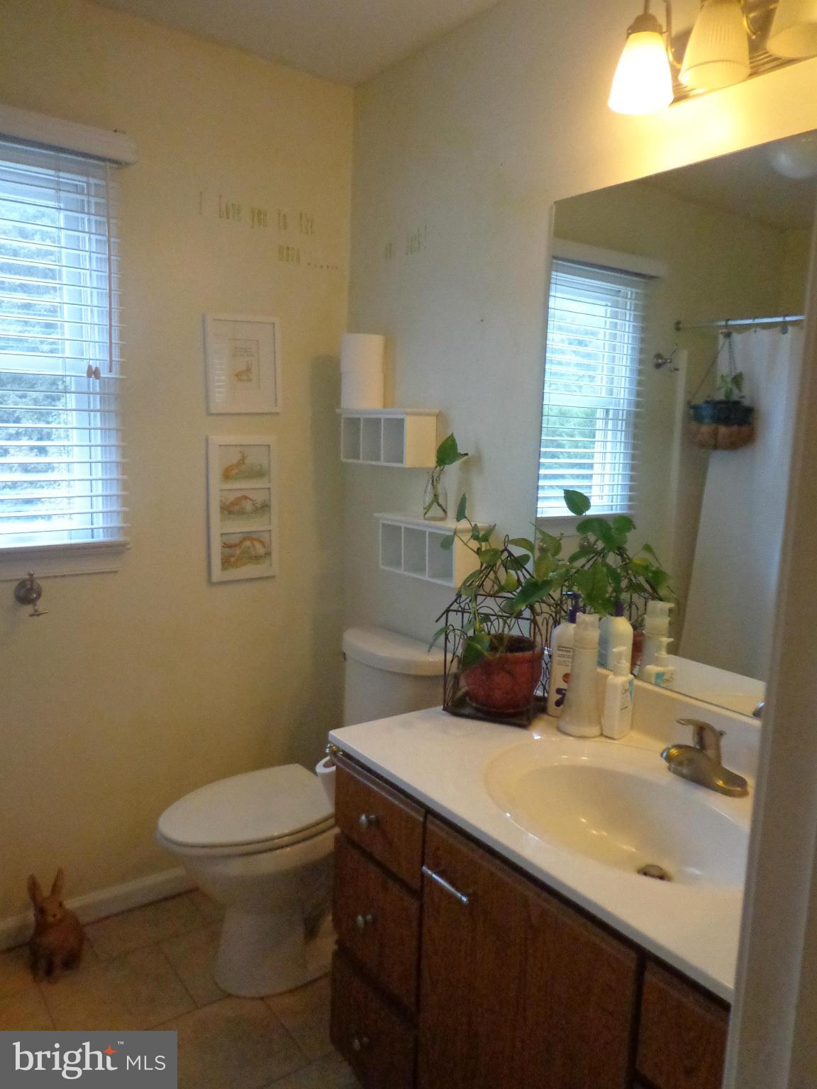 9323 Settle School Road Rixeyville, VA 22737 - Photo 21 of 30 a bathroom with a sink a toilet and mirror