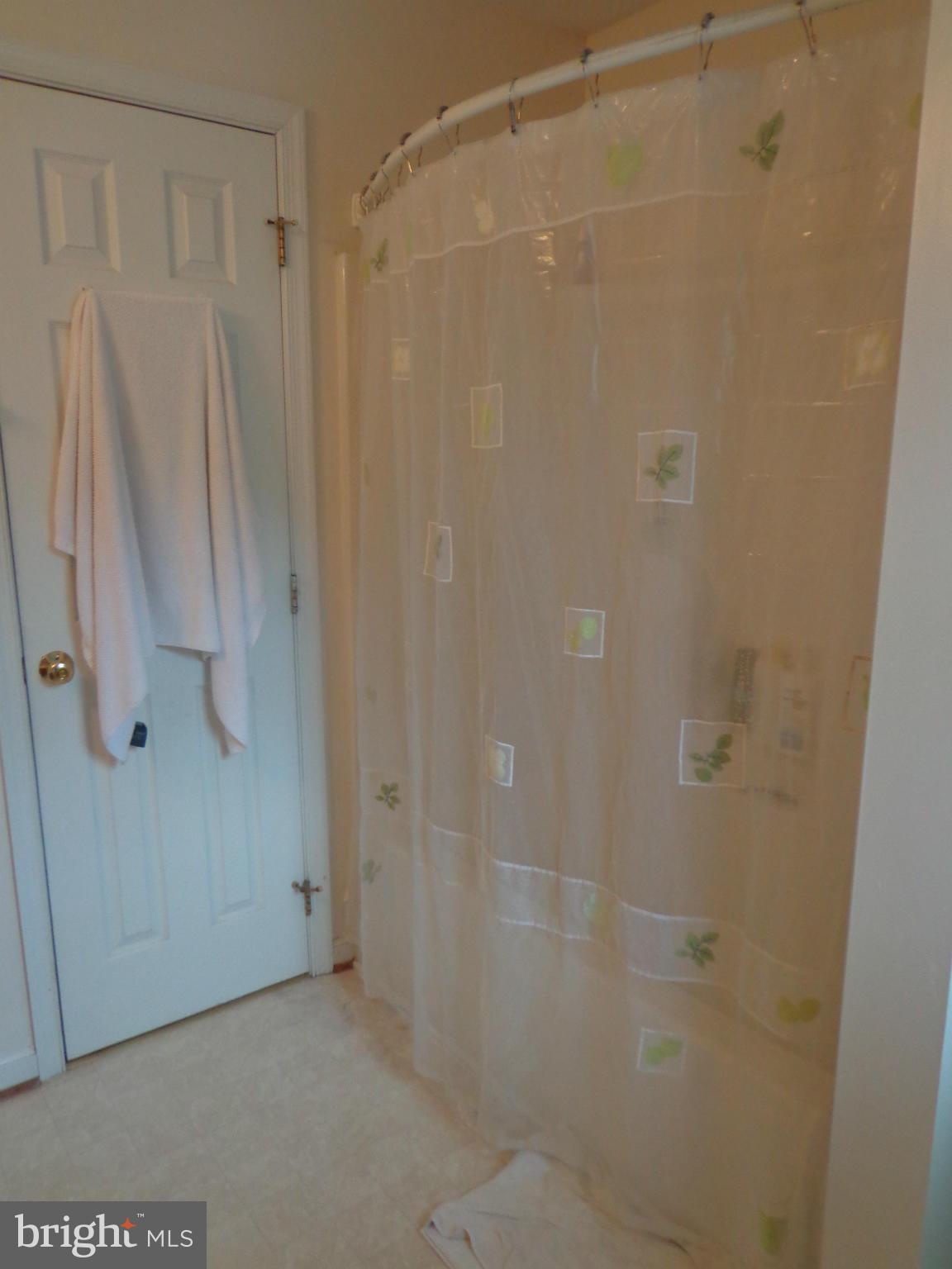 9323 Settle School Road Rixeyville, VA 22737 - Photo 25 of 30 a bathroom with a shower