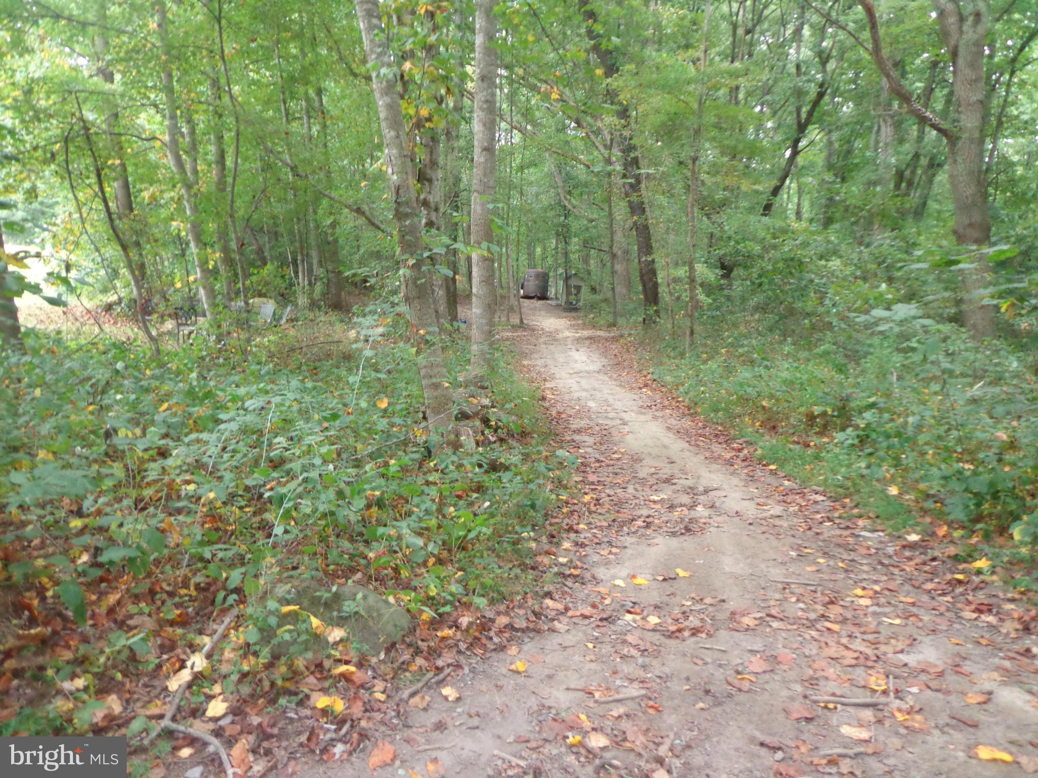 9323 Settle School Road Rixeyville, VA 22737 - Photo 29 of 30 a view of a forest with trees