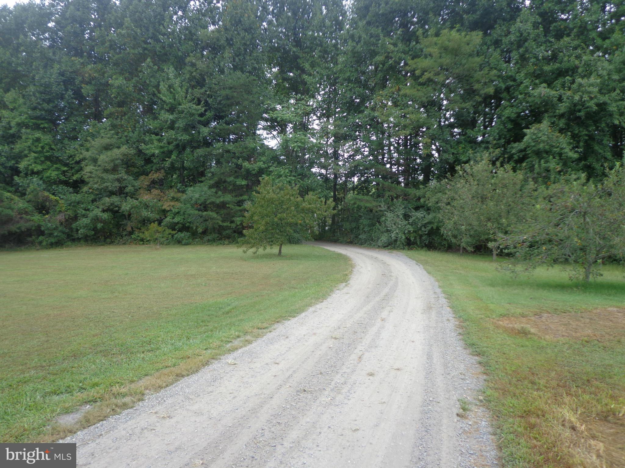 9323 Settle School Road Rixeyville, VA 22737 - Photo 30 of 30 a view of a park