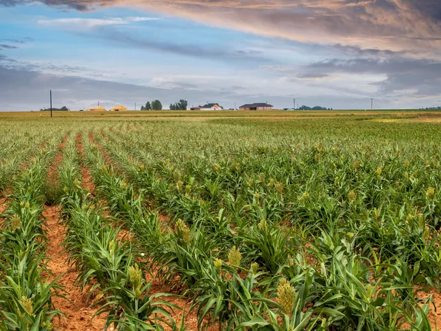 a view of an ocean and beach
