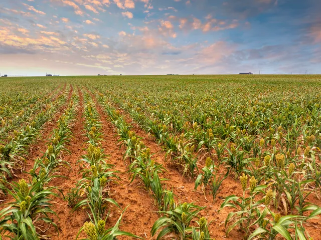 a view of an ocean and a beach