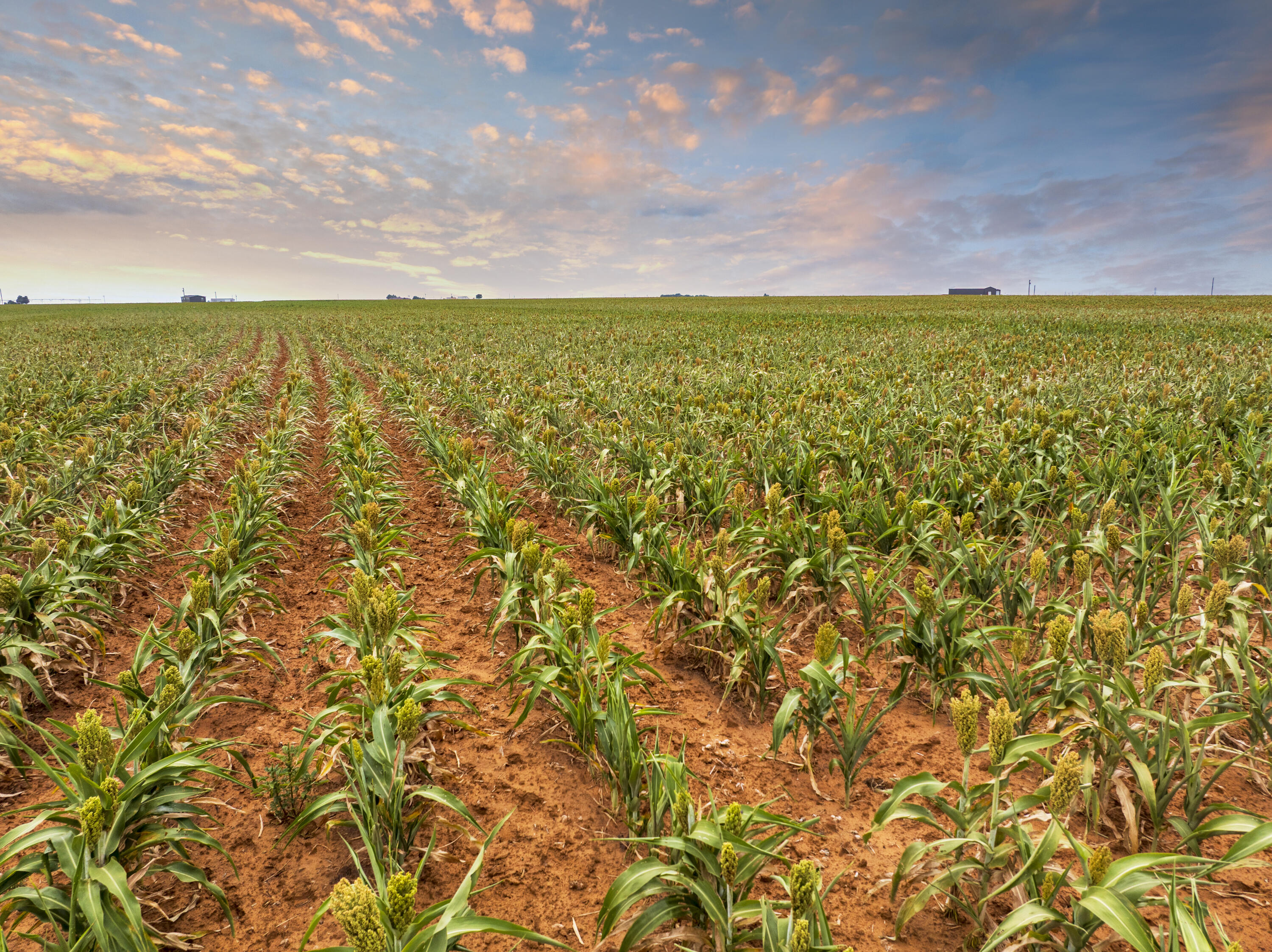 5982 Tiger Road Ropesville, TX 79358 - Photo 2 of 11 a view of an ocean and beach