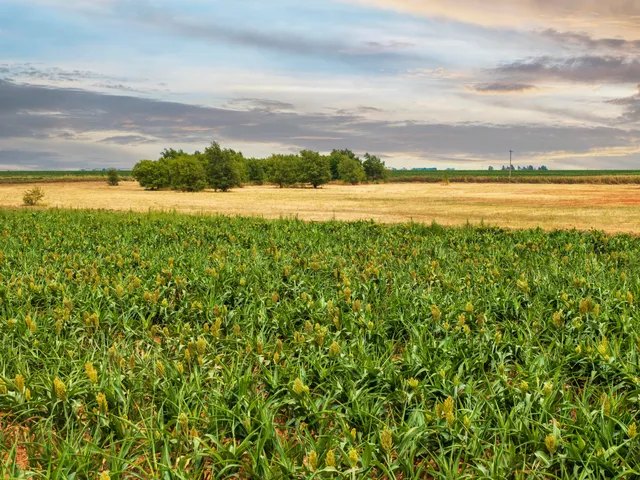 a view of a tennis court