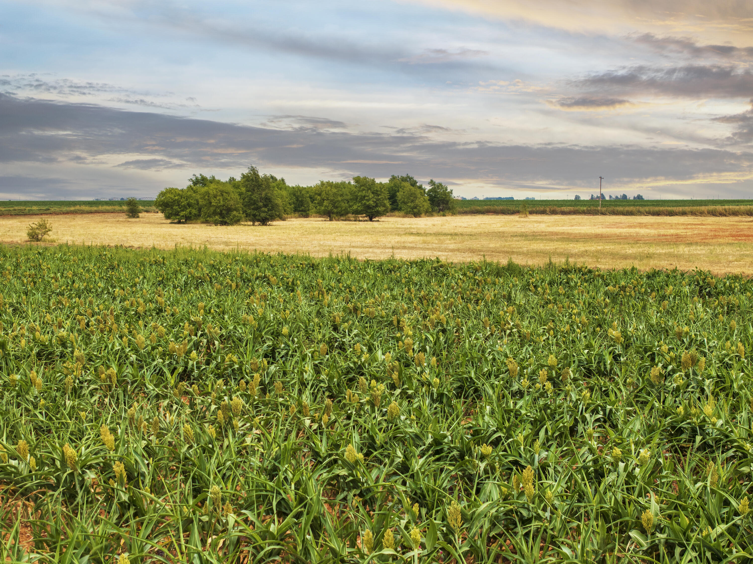 5982 Tiger Road Ropesville, TX 79358 - Photo 3 of 11 a view of an ocean and a beach