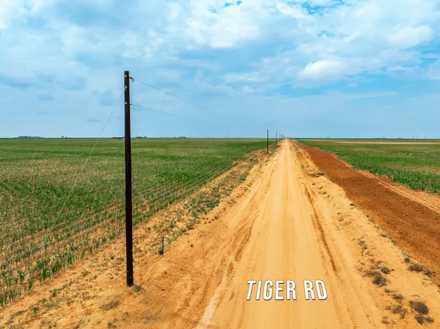 a view of an ocean beach