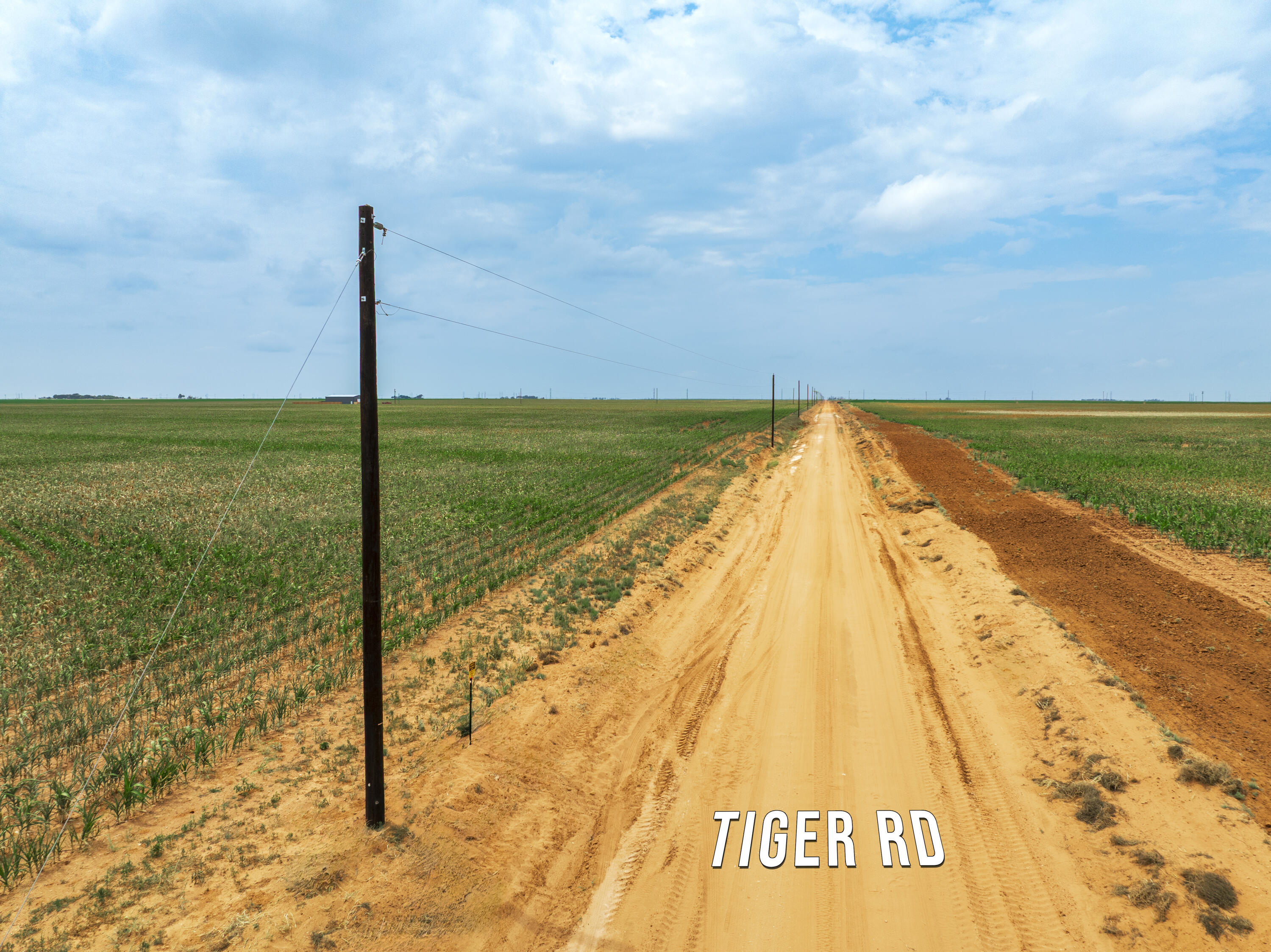 5982 Tiger Road Ropesville, TX 79358 - Photo 5 of 11 a view of swimming pool