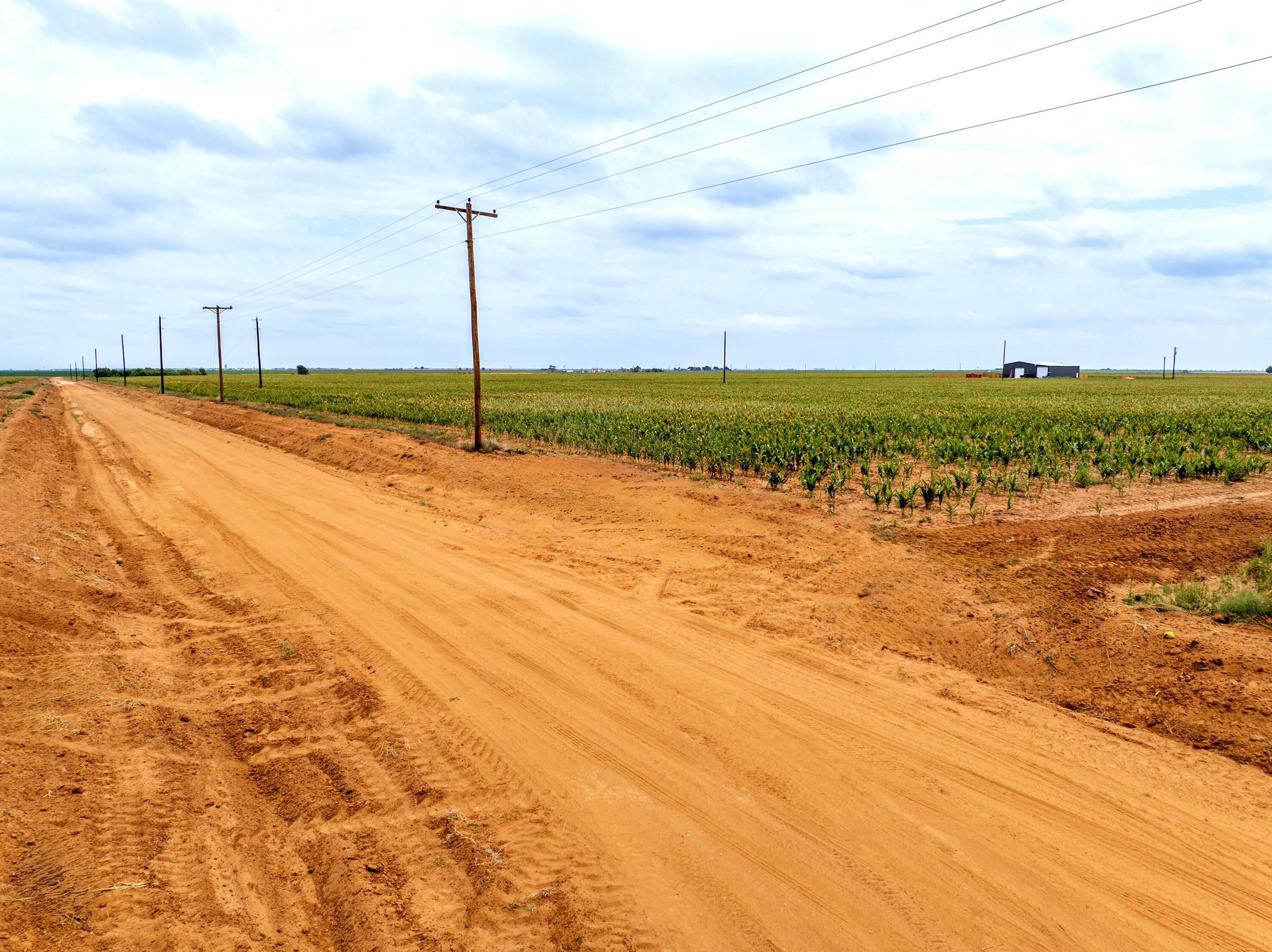 5982 Tiger Road Ropesville, TX 79358 - Photo 6 of 11