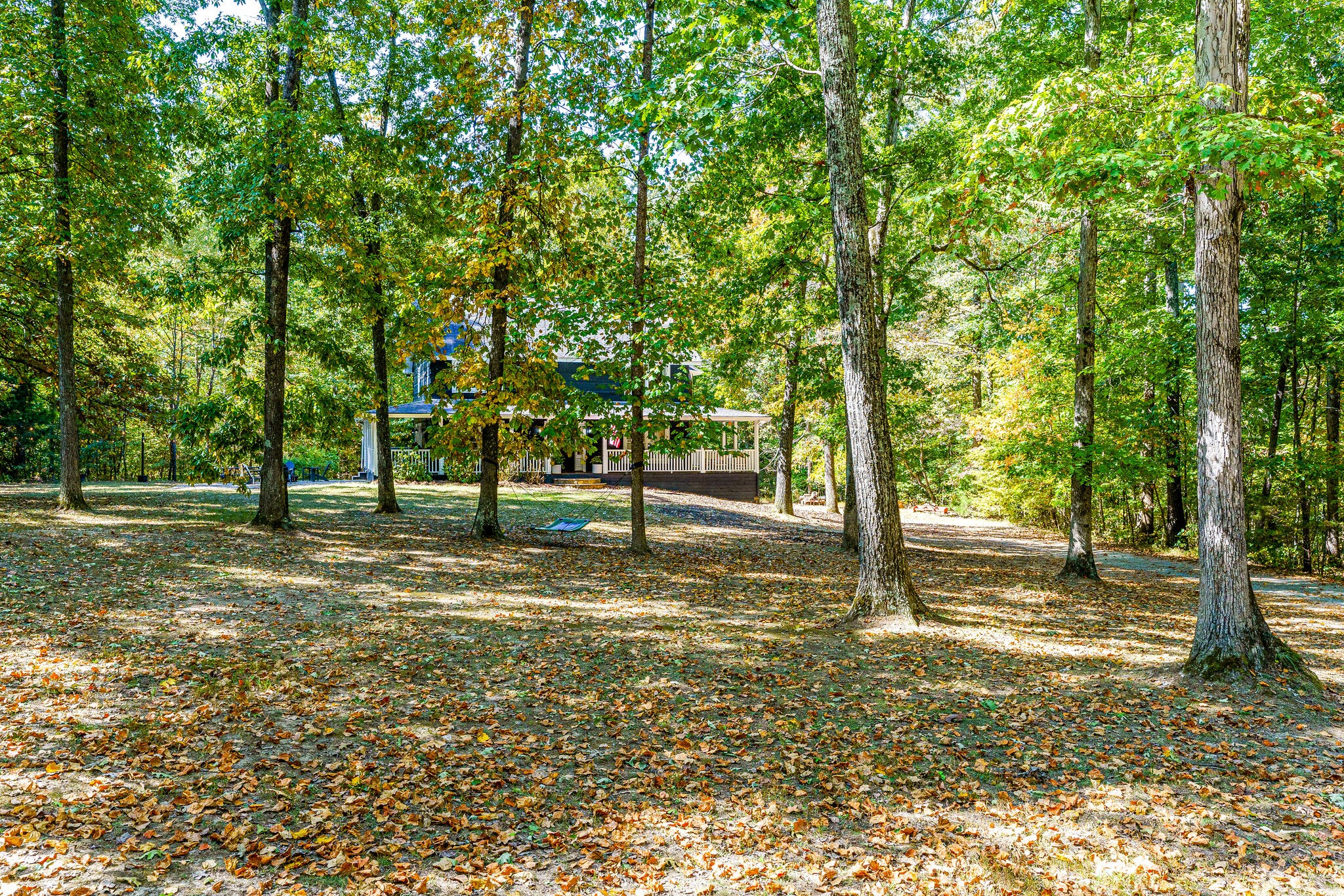 1500 Fallen Beetree Road Kingston Springs, TN 37082 - Photo 45 of 47 a view of a tree with a yard